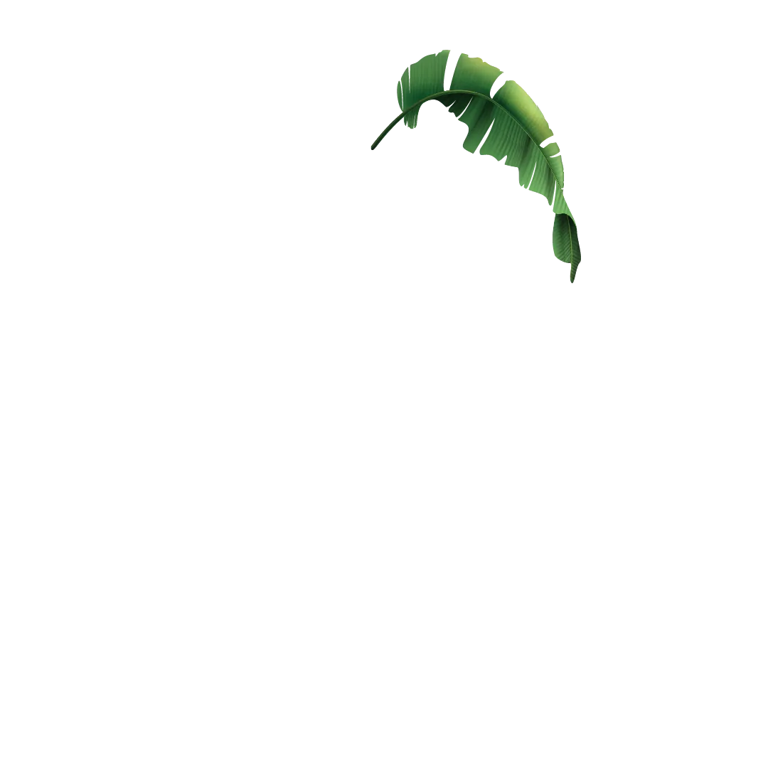La Vista